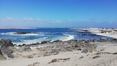 Región de Atacama: un santuario de ballenas en peligro