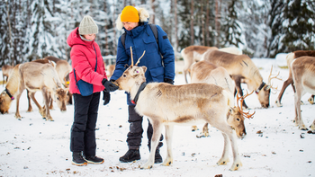 Disfruta en familia estas experiencias invernales que no pueden perderse si viajan a Laponia.