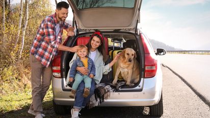 ¿A dónde viajar con mascotas cerca de Bogotá?