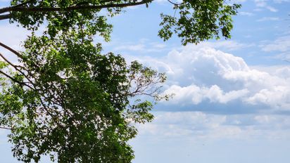 Meta, Colombia. visib