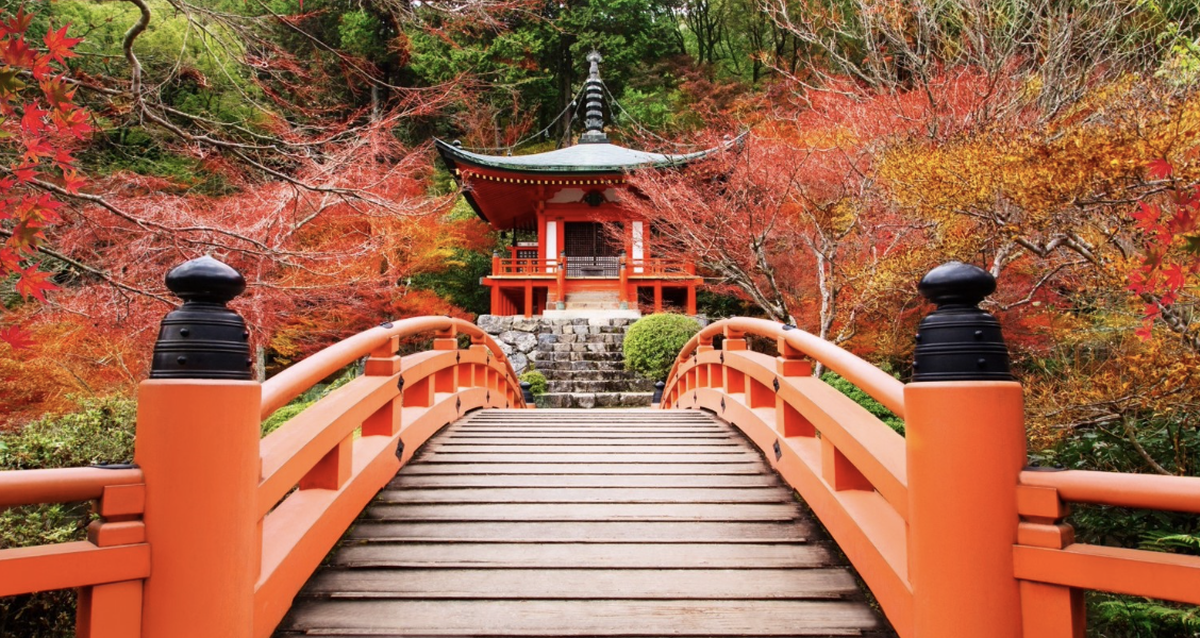 Uno de los jardines de Jap&oacute;n