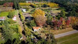 altText(Escapadas: la particular celebración del pueblo del millón de árboles)}