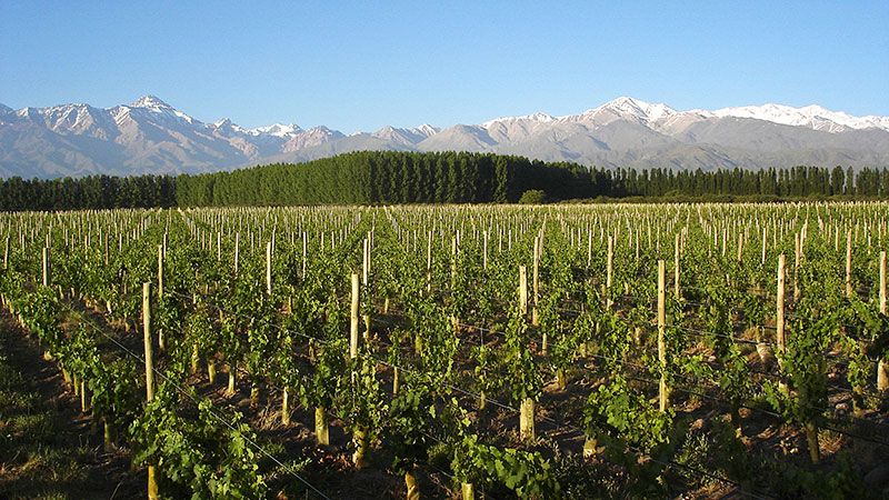 Propuestas complementarias a los centros de esquí.