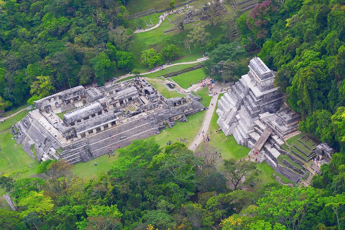 Recorre la zona arqueológica de Palenque en Chiapas.