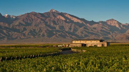 Verano 2024: 5 mejores bodegas donde comer en Mendoza, a menos de 2 horas del centro