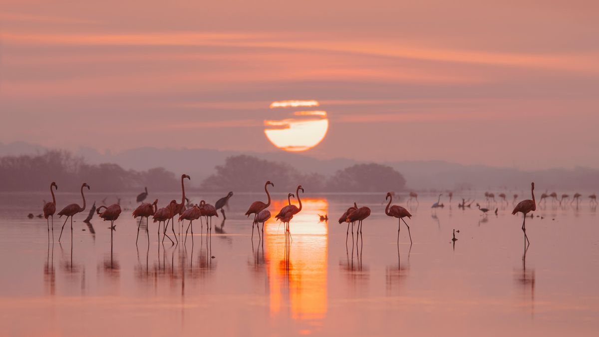 A través de su incorporación a la Red Iberoamericana de Destinos Turísticos Inteligentes, Sectur refuerza su compromiso por ofrecer experiencias turísticas más enriquecedoras y personalizadas.