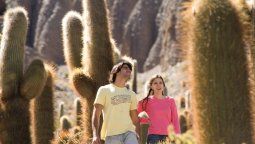 altText(Salta: ¿qué se puede hacer en el Parque Nacional Los Cardones?)}