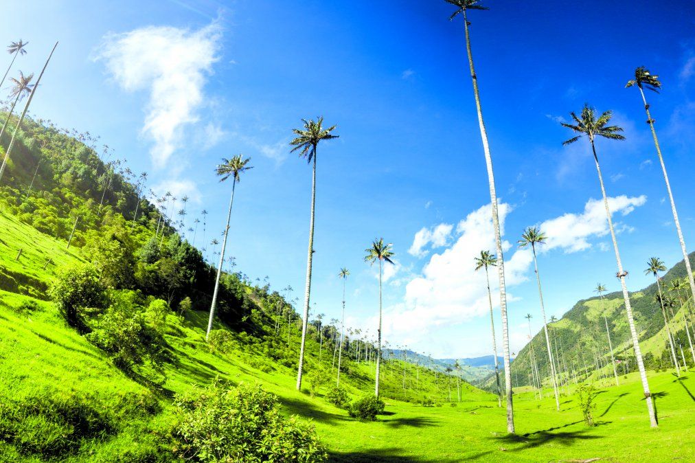 Entre los destinos más visitados de esta región están Salento y Filandia, por lo pintoresco de su paisaje y su proximidad al Valle del Cocora.