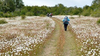Tierra del Fuego: Naturaleza inolvidable