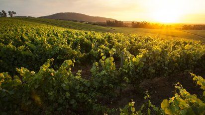 Un recorrido por las mejores bodegas de Chile
