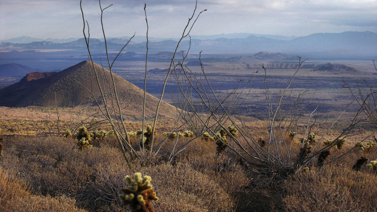 Disfruta del ecoturismo en la Reserva de la Biósfera El Pinacate y Gran Desierto de Altar.