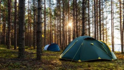 Un camping en un bosque de España.