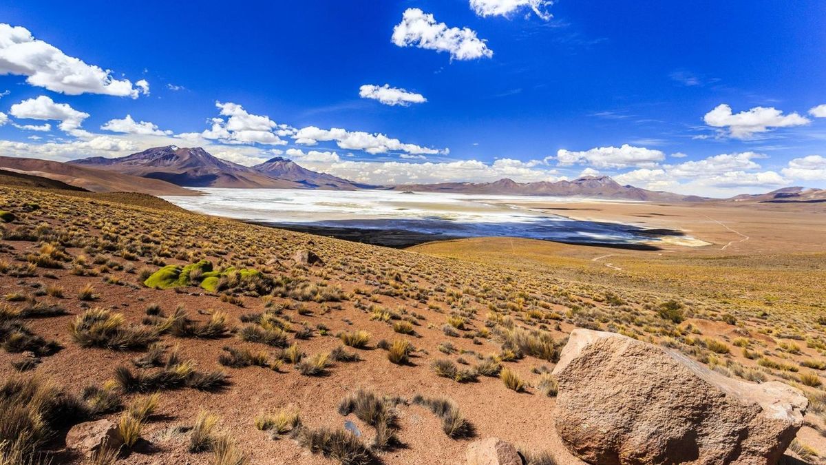 Arica combina playas, historia y cultura con atractivos como el Morro y las momias Chinchorro.