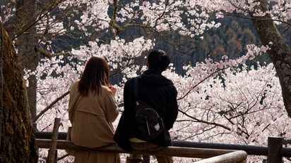 Primavera en Japón: qué ver y cómo organizar tu viaje durante el Hanami
