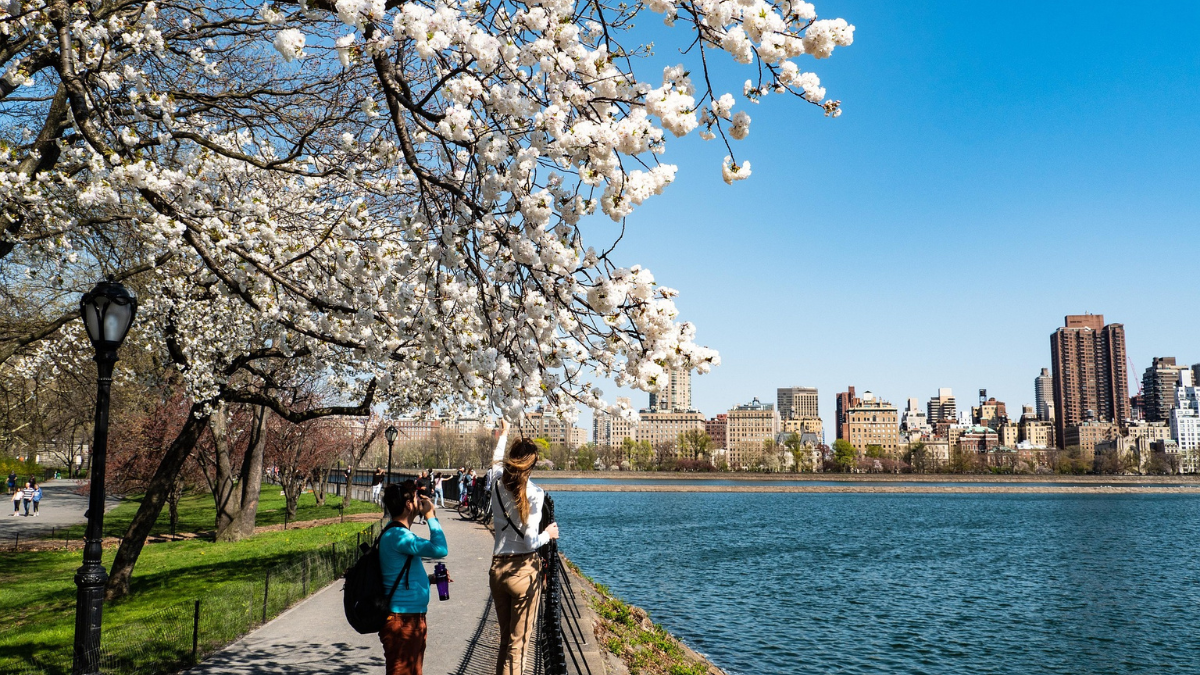 Estas vacaciones de Semana Santa descubre una de las ciudades más divertidas de Estados Unidos.