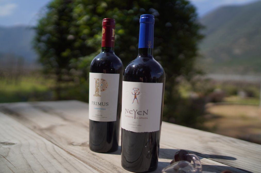 La viña Neyen ofrece las marcas Primus y Neyen.&nbsp;
