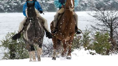 Bariloche: ¿cuánto sale y cómo es una excursión a caballo?