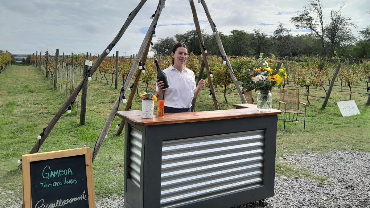 Buenos Aires: Bodega Gamboa cuenta con viñedos de Cabernet Franc, Pinot Noir, Malbec, Pinot Gris y Semillón.