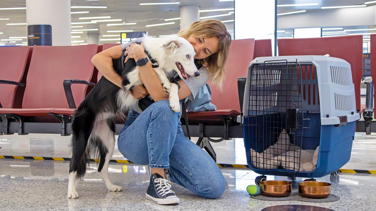 Edreams revela las tendencias de viaje de los europeos acompañados de su mascota.