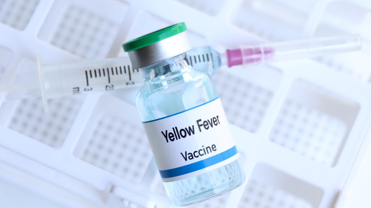 El Ministerio de Comercio, Industria y Turismo promueve prácticas seguras y responsables ante alerta sanitaria de la fiebre amarilla en Colombia.