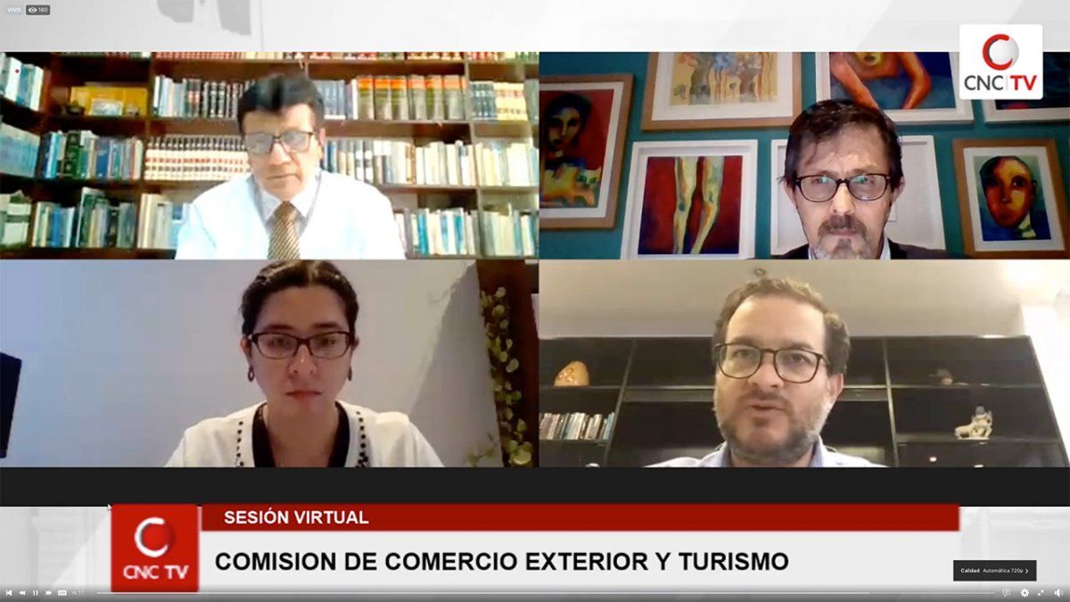 Representantes de Mincetur se presentarón de forma virtual ante el Congreso de la República. - Ladevi Medios y Soluciones Representantes de Mincetur se presentarón de forma virtual ante el Congreso de la República.