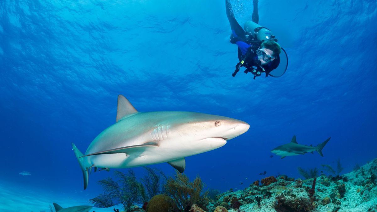 Caribe: viva unas vacaciones fuera de lo común en las Out Islands