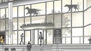 Para los amantes de los canes, Nueva York ya tiene museo sobre la temática.