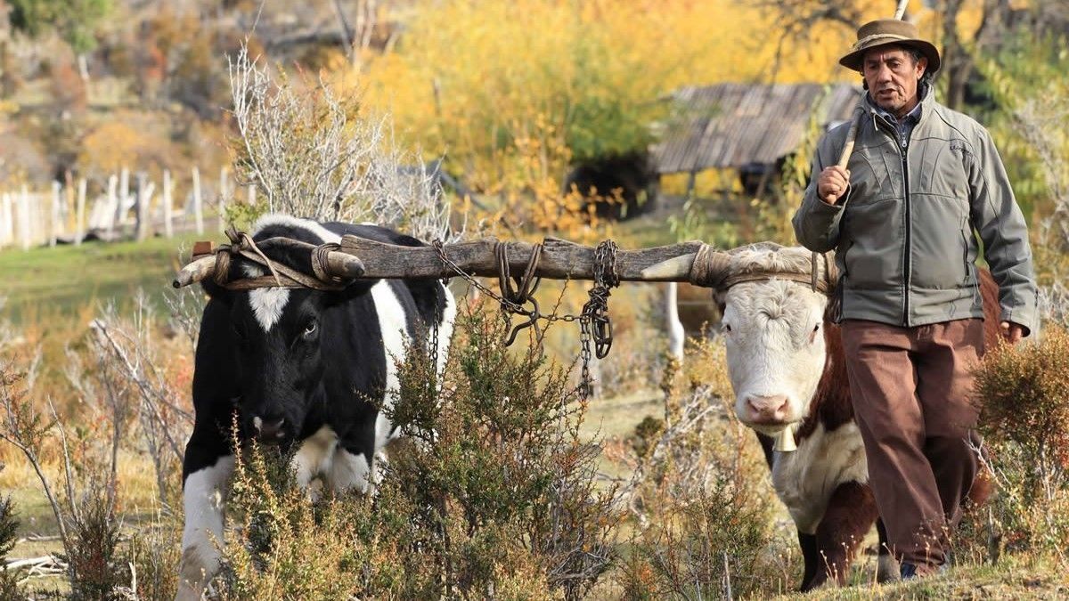 Descubrí Alto Río Percy, un pueblo rural muy pintoresco cerca de Esquel, en Chubut. Descubrí Alto Río Percy, un pueblo rural muy pintoresco cerca de Esquel, en Chubut.
