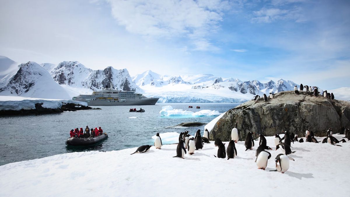 Deluxe Reps trabaja junto a Silversea con expediciones de lujo hacia destinos remotos como la Antártida, el Ártico y Galápagos. &nbsp;