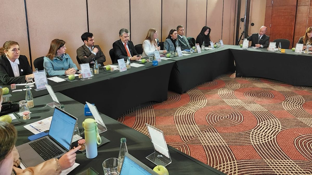 La presentación de IATA se realizó en el marco de Sudamérica Conecta. - Ladevi Medios y Soluciones La presentación de IATA se realizó en el marco de Sudamérica Conecta.