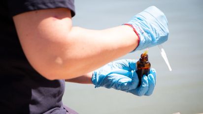 Maule: Mónica Zalaquett, presidenta ejecutiva de Fedetur, pidió una respuesta coordinada entre el sector público y privado ante la crisis sanitaria del Lago Vichuquén.