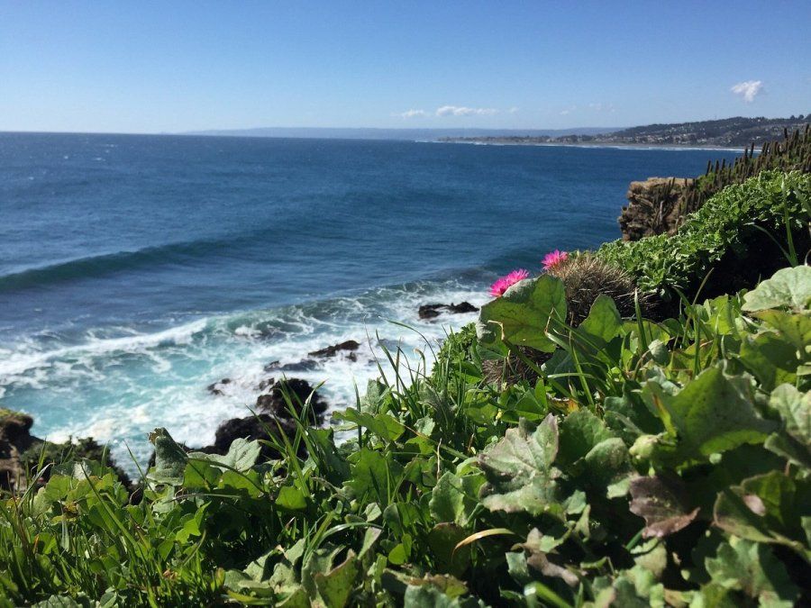 Escapadas. La Playa Punta de Lobos es una parada obligatoria en Pichilemu. Escapadas. La Playa Punta de Lobos es una parada obligatoria en Pichilemu.