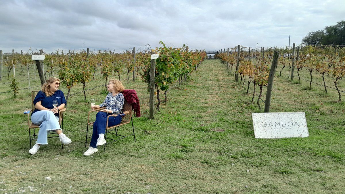A menos de una hora de Buenos Aires, la Bodega Gamboa propone una experiencia de relajación y disfrute en torno al vino. 