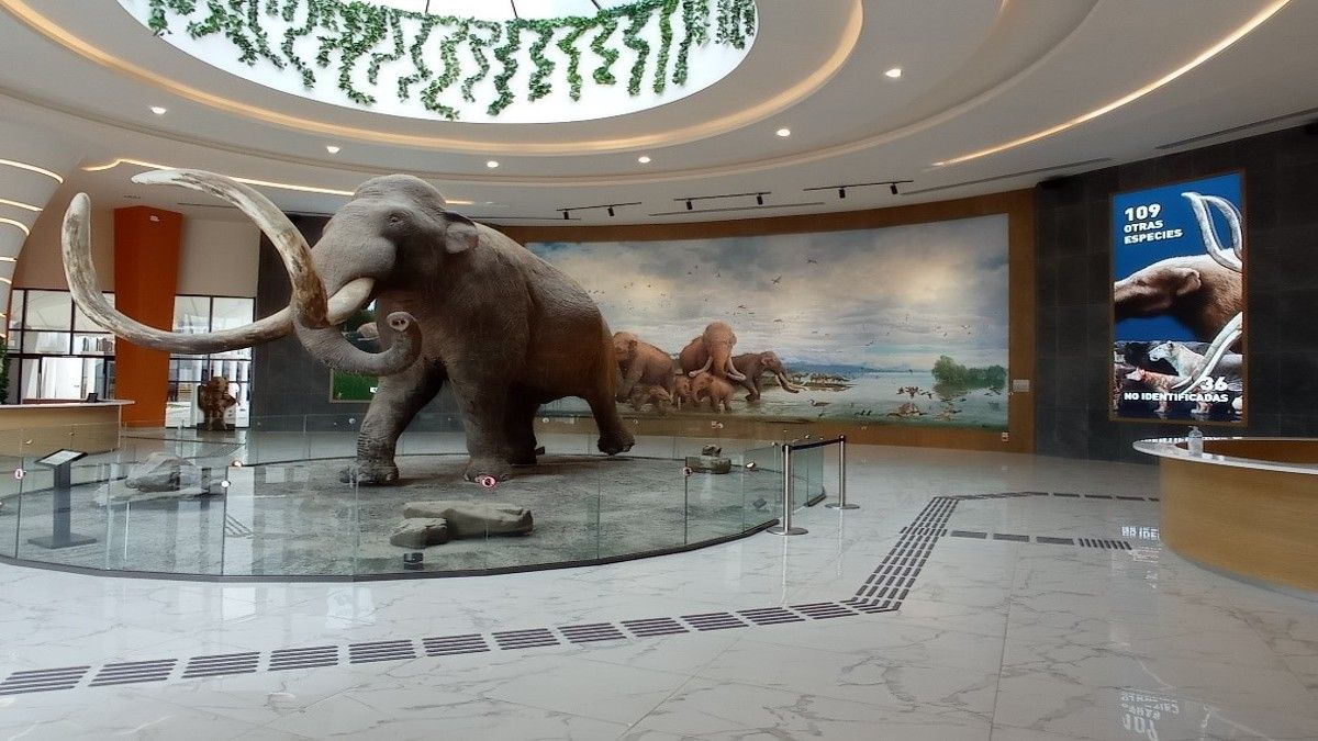 Disfruta de la variedad de museos que tiene México.