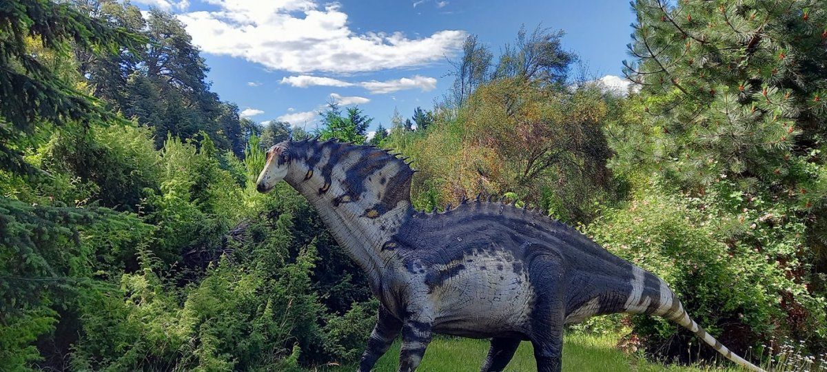 El fascinante Parque Nahuelito se encuentra en el km. 24,5 de Circuito Chico de Bariloche.