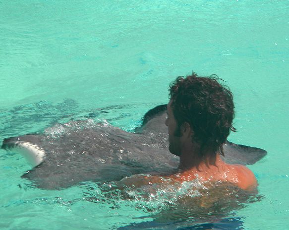 Primero se animó el capitán del yate y después me tiré yo para estar entre las rayas