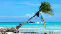 altText(República Dominicana: cinco playas para chilenos que buscan el paraíso en el Caribe)}
