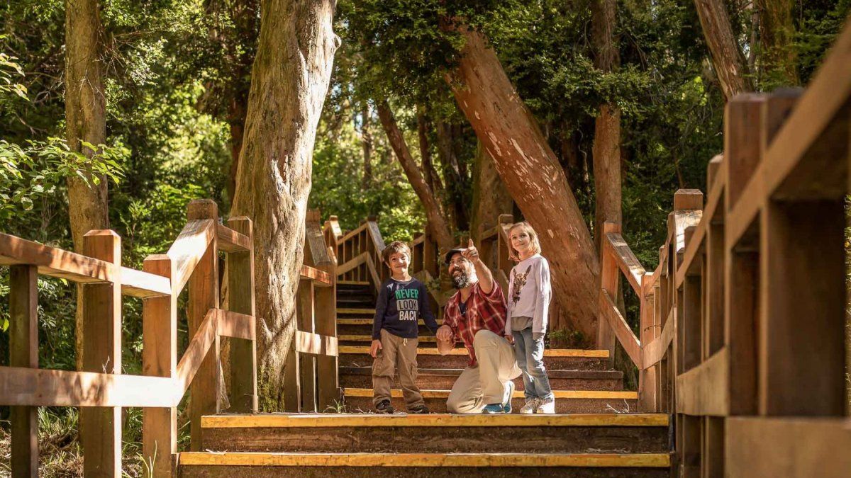 El Parque Nacional Los Arrayanes es un mágico lugar para conectar con la naturaleza en el verano. El Parque Nacional Los Arrayanes es un mágico lugar para conectar con la naturaleza en el verano.