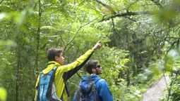 altText(Salta: agenda de actividades para las vacaciones de invierno)}