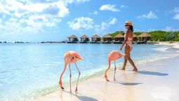 LA campaña de Via Club incluye destinos Aruba, Curazao, Las Bahamas y Belice, entre otros. 