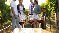 En Colombia es posible realizar rutas maravillosas para descubrir los sabores el vino en diferentes regiones.