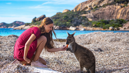 Descubre todo lo que Australia tiene para ofrecerte y atrévete a visitar este país en Oceanía.