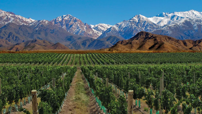 Verano en Mendoza: 3 lugares imperdibles para visitar en Valle de Uco