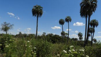 El Parque Nacional Selva Montiel será el tercero de Entre Ríos.