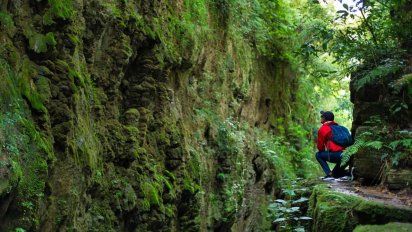 El exuberante paisaje verde de Jujuy que seguro no conocías y te fascinará