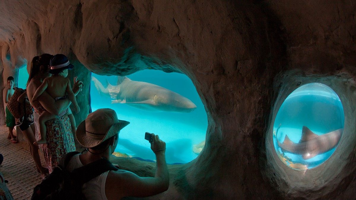 Verano 2025: el Proyecto Tamar permite divertirse y aprender junto a los niños.