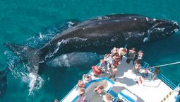 Puerto Madryn fue uno de los destinos más elegidos durante las ediciones anteriores del PreViaje.