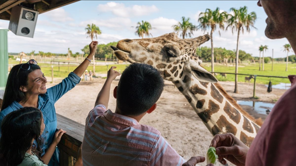 Kissimmee: Wild Florida Adventure Park.