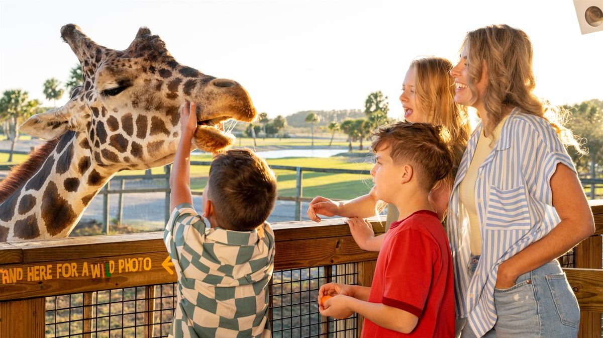 Kissimmee: Wild Florida Adventure Park.