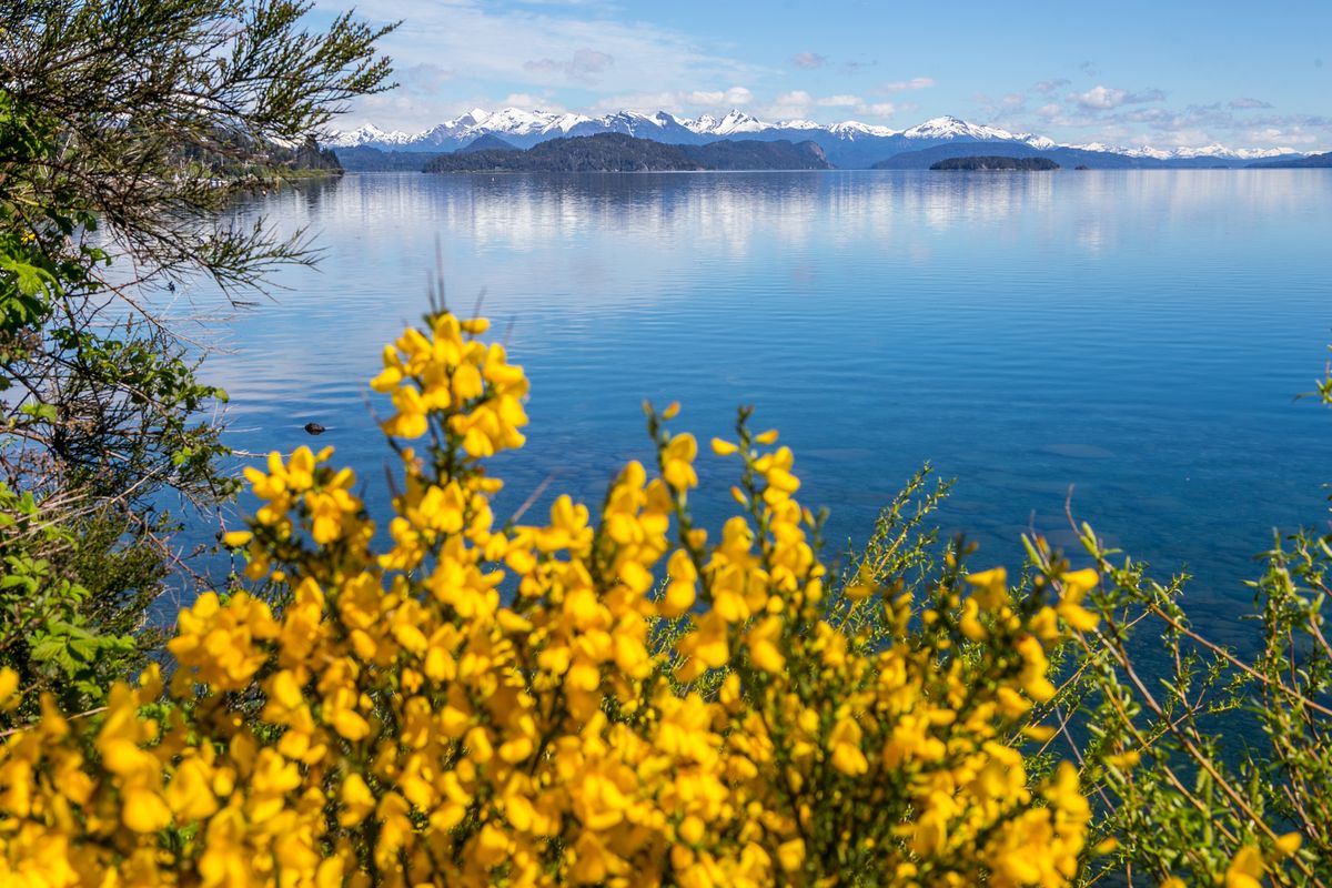 Bariloche conserva los picos nevados y los fusiona con el color de las flores.